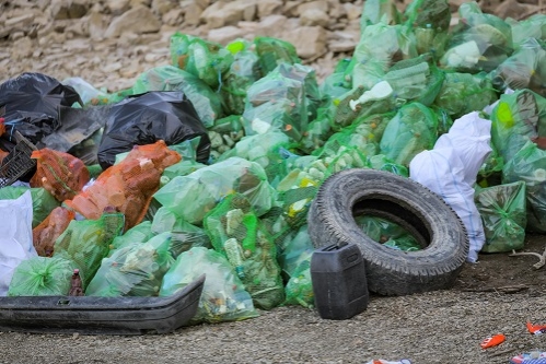 4 tone de deșeuri strânse de voluntari de pe malurile lacului Bicaz într-o amplă acțiune de ecologizare