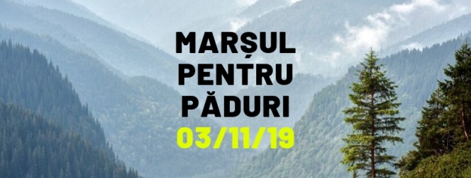 Organizatorii Marșului pentru Păduri, solidari cu pădurarii în doliu