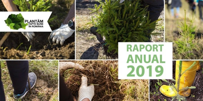 2019 – cel mai bun an din istoria Plantăm fapte bune în România