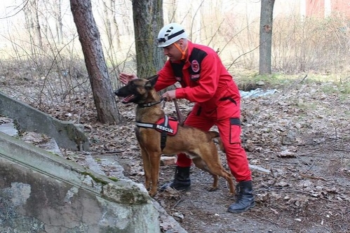 Buzoienii se pregătesc de dezastre