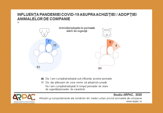 Numărul românilor din mediul urban care dețin animale de companie a crescut în perioada stării de urgenţă