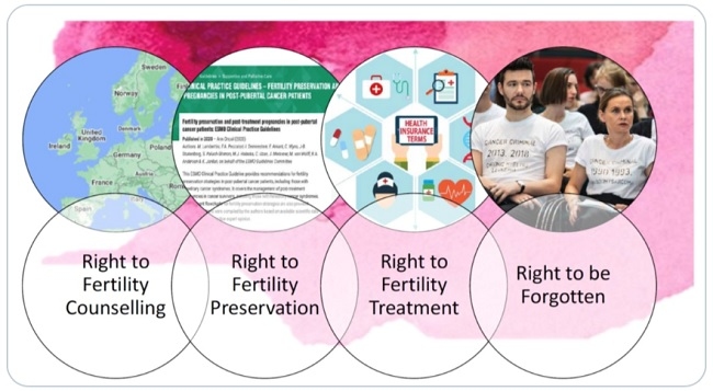 Cum a contribuit un mic ONG din Cluj-Napoca la Planul European de Combatere a Cancerului