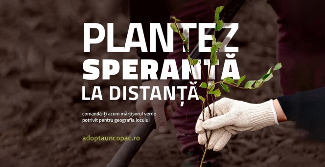 „Adoptă un copac!” lansează ediția de primavară a campaniei „Plantare Virtuală - Plantăm speranță la distanță”