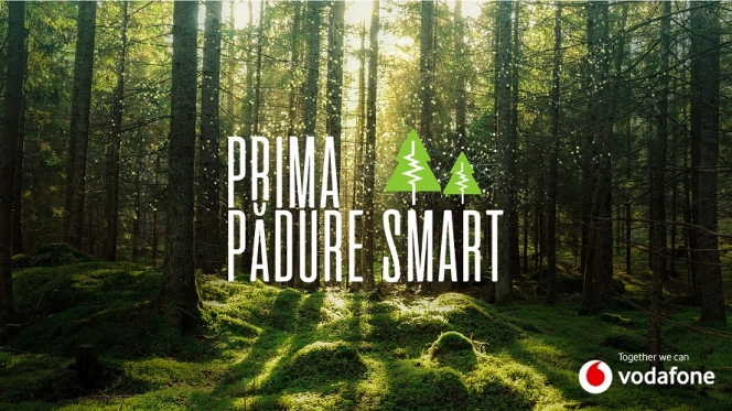 Vodafone pune în funcțiune prima pădure inteligentă din România pentru a preveni defrișările ilegale