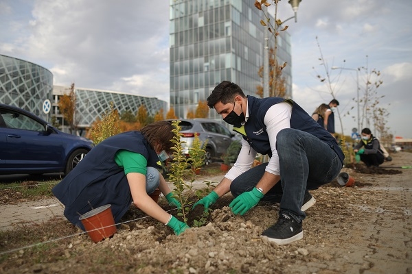 OMV Petrom a plantat un milion de puieți în cadrul „România plantează pentru mâine”