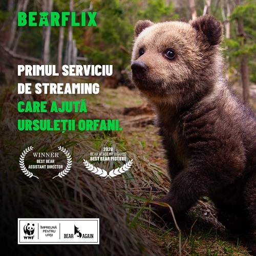 BEARFLIX // Premiul I Campanii de comunicare pe teme sociale // GSC 2021