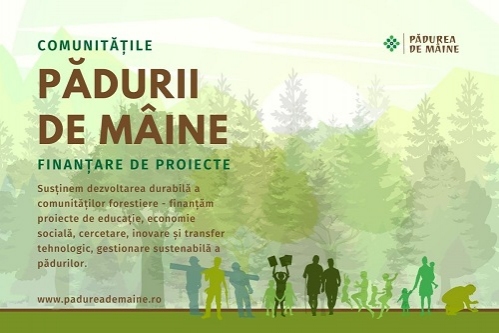 Comunitățile Pădurii de Mâine: program de finanțare nerambursabilă