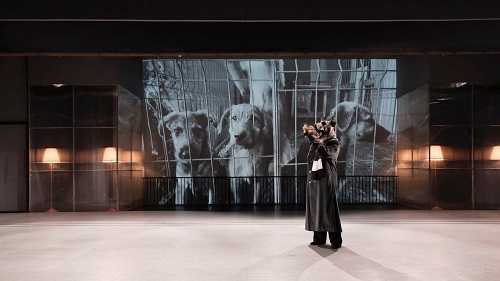 NAVETA CULTURALĂ #4 -  București – Craiova - pentru producția câine cu om. câine fără om semnată Radu Afrim la Teatrul Național Craiova