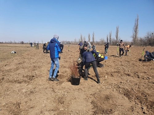 8.000 de puieți forestieri sunt plantați cu ocazia Zilei Internaționale a Pădurilor la Stațiunea Didactică și de Cercetare-Dezvoltare Agronomică Moara Domnească