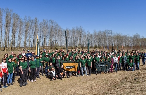 McDonald’s România lansează programul intern de voluntariat Voluntar@M și plantează alături de Viitor Plus 4.800 de puieți forestieri