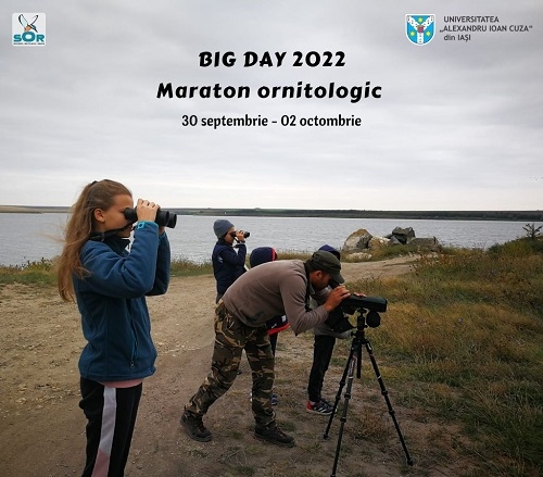 Big Day 2022 – Maraton ornitologic