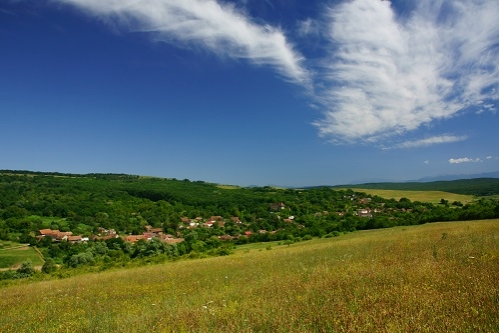 Fundația Conservation Carpathia și Ferma de Biodiversitate Cobor pun Transilvania pe harta gastronomică a țării cu un nou ingredient