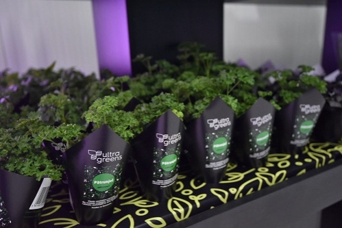 Kaufland și Ultragreens inaugurează prima seră verticală din România