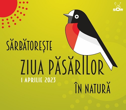 Sărbătorește Ziua Păsărilor în natură