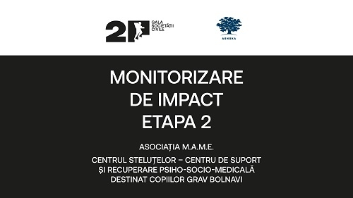 Monitorizare de Impact – Etapa 2 // Centrul Steluțelor