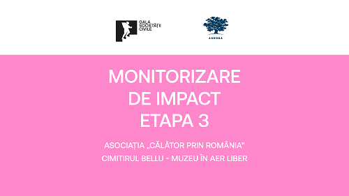 Monitorizare de Impact – Etapa 3 // Cimitirul Bellu – Muzeu în aer liber