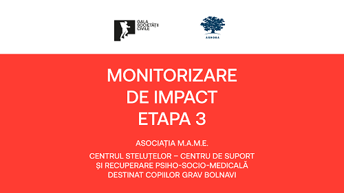 Monitorizare de Impact – Etapa 3 // Centrul Steluțelor