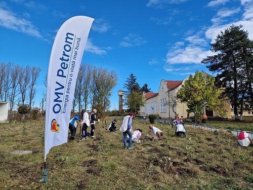 Primele 3 mini-păduri urbane, un aliniament stradal și un viitor parc au fost plantate la Făgăraș în doar două zile