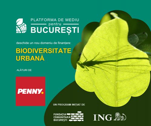Platforma de mediu pentru București anunță deschiderea unui nou domeniu de finanțare: 100.000 EUR pentru proiecte de biodiversitate urbană