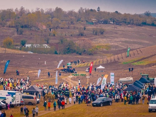 Mobilizare exemplară pentru păduri: 1.360 de voluntari au plantat, pe ploaie și vânt, o nouă pădure la Frăsinet, Călărași