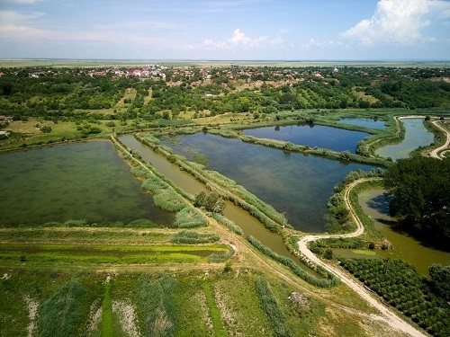 WWF-CEE și Fundația Coca-Cola anunță extinderea parteneriatului lor și continuă să colaboreze pentru a crește rezistența la schimbările climatice și starea de sănătate a bazinului hidrografic al Dunării