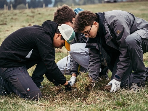 Eco Provocarea: 13 Ani de Leadership în Protecția Mediului în Școlile și Liceele din România