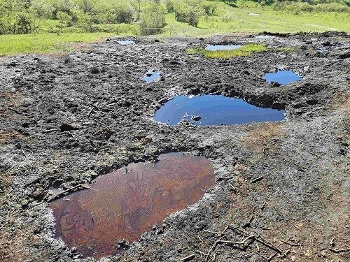 „Aurul negru” din Beciu devine atracție turistică: Izvoare naturale de petrol, transformate în destinație de explorat în Geoparcul UNESCO Ținutul Buzăului