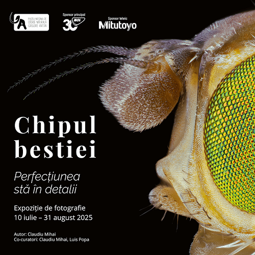Muzeul Antipa deschide expoziția „Chipul bestiei. Perfecțiunea stă în detalii” – o incursiune spectaculoasă în lumea ascunsă a insectelor