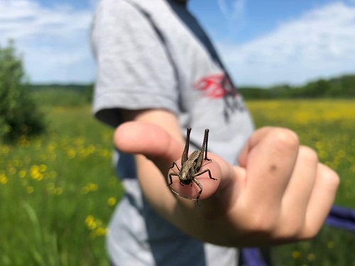 Colinele Transilvaniei a lansat proiectul „Educație cu vedere la natură”,  un pas esențial pentru reconectarea oamenilor cu natura