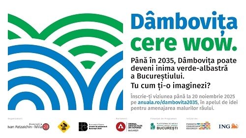 Viitorul Dâmboviței: idei internaționale pentru un oraș conectat