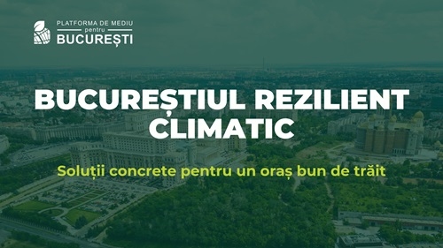 Fundația Comunitară București: Capitala are nevoie urgentă de o strategie de reziliență climatică.