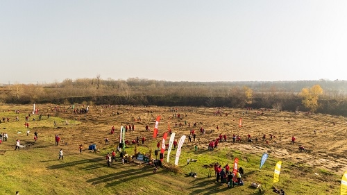 Pădurea Prieteniei - un concept nou în România: partenerii Kaufland uniți într-un gest comun pentru natură