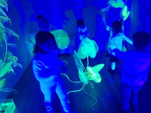 Apa ca mediu de creație și responsabilitate: ARBORESCENT.AFLUENT, un proiect despre ecosisteme, comunități și imaginație