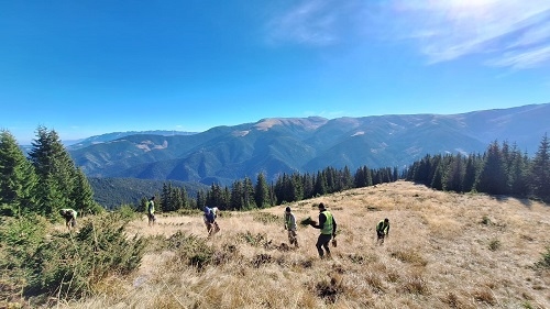Câteva păduri din Munții Făgăraș devin un model european de reconstrucție ecologică: rezultatele proiectului SUPERB în România
