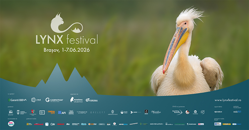 Natura este vedetă de cinema la a patra ediție LYNX Festival: Brașov 1-7 iunie!