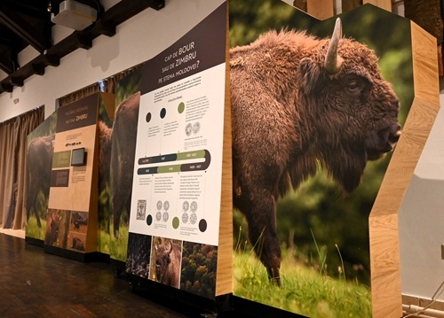 Centrul de Vizitare din Parcul Natural Vânători Neamț își dezvoltă expoziția interactivă