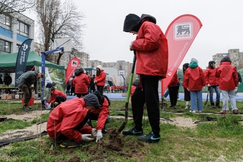 Educație prin sustenabilitate: Mega Image plantează 12.000 de copaci în București și Ilfov, alături de 86 de școli