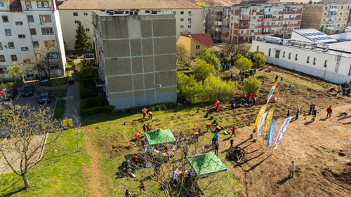 Noi intervenții pentru biodiversitate în Timișoara: 2 mini-păduri urbane și 450 mp de pajiște pe malurile Begăi