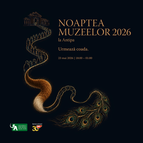 Noaptea Muzeelor 2026 la Antipa: vizitare gratuită, activități nocturne și o coadă care spune povești