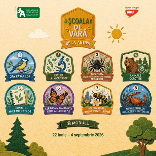 Școala de Vară la Antipa 2026