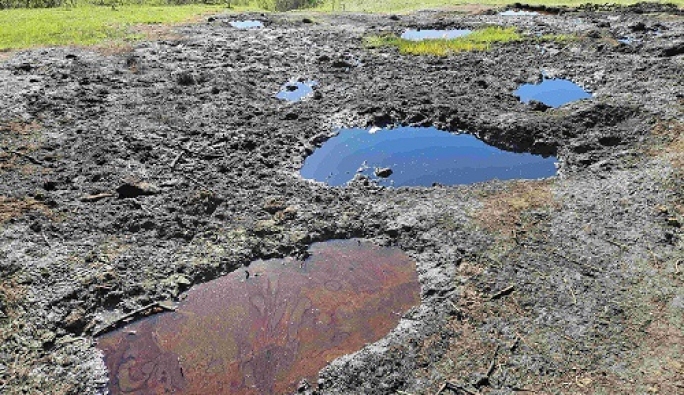 „Aurul negru” din Beciu devine atracție turistică: Izvoare naturale de petrol, transformate în destinație de explorat în Geoparcul UNESCO Ținutul Buzăului