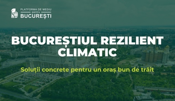 Fundația Comunitară București: Capitala are nevoie urgentă de o strategie de reziliență climatică.