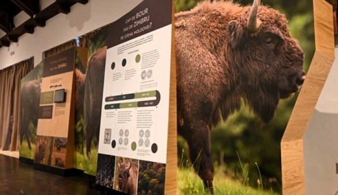 Centrul de Vizitare din Parcul Natural Vânători Neamț își dezvoltă expoziția interactivă