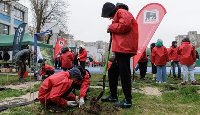 Educație prin sustenabilitate: Mega Image plantează 12.000 de copaci în București și Ilfov, alături de 86 de școli