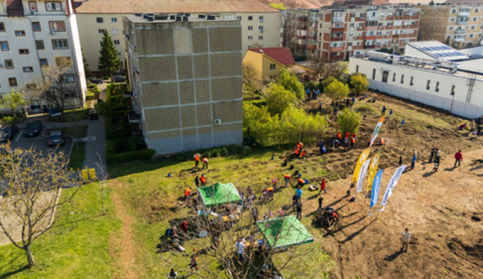 Noi intervenții pentru biodiversitate în Timișoara: 2 mini-păduri urbane și 450 mp de pajiște pe malurile Begăi