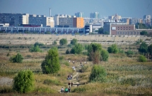 Parcul Natural Vacaresti. O oaza in desertul de beton