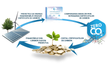 Primele certificate de carbon din proiecte de impadurire vor fi emise de Asociatia MaiMultVerde si Carbon Solutions Global