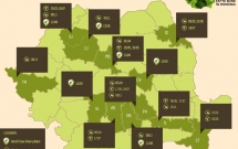 In 2014, „Plantam fapte bune in Romania” va impaduri 21 de hectare de teren