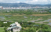 Una dintre cele mai mari retele de zone umede din lume sprijina infiintarea Parcului Natural Vacaresti