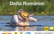Asociatia Bucurestiul meu drag va invita la Expozitia cu Delta Romaniei